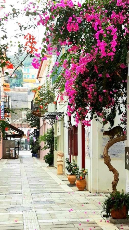 纳夫普利翁Μπαλκόνι公寓 外观 照片